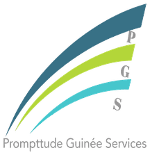 Logo PGS Services